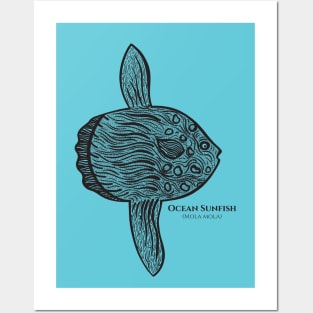 Ocean Sunfish with Common and Scientific Names - fish design Posters and Art